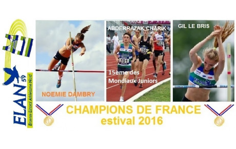 Un été 2016 classé Grand Cru pour l'ELAN59